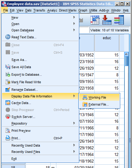 SPSS File Information spss-file-info-menu